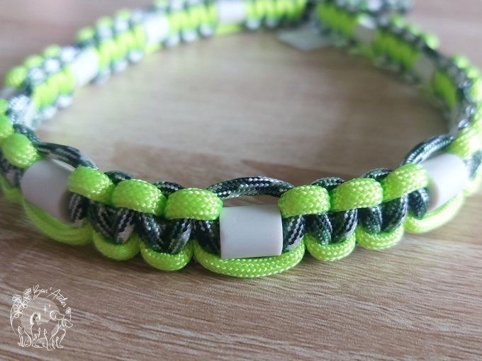 CHIENS _ COLLIER ANTI TIQUE & PUCE _ A adopter