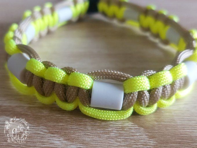 CHIENS _ COLLIER ANTI TIQUE & PUCE _ A adopter