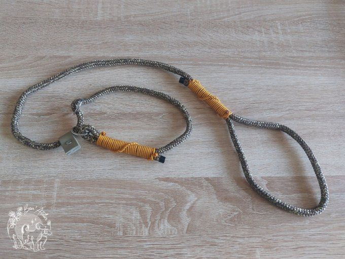 LAISSE LASSO