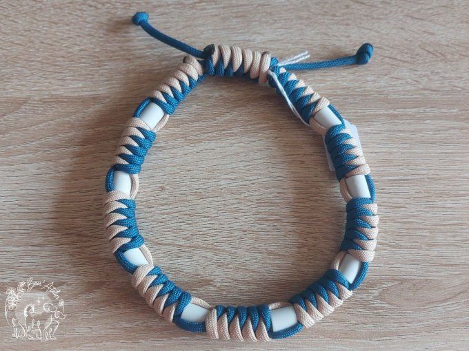 CHIENS _ COLLIER ANTI TIQUE & PUCE _ A adopter
