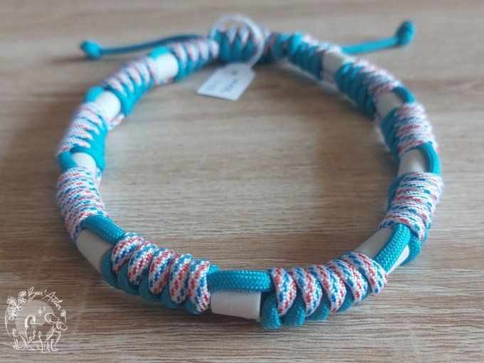 CHIENS _ COLLIER ANTI TIQUE & PUCE _ A adopter