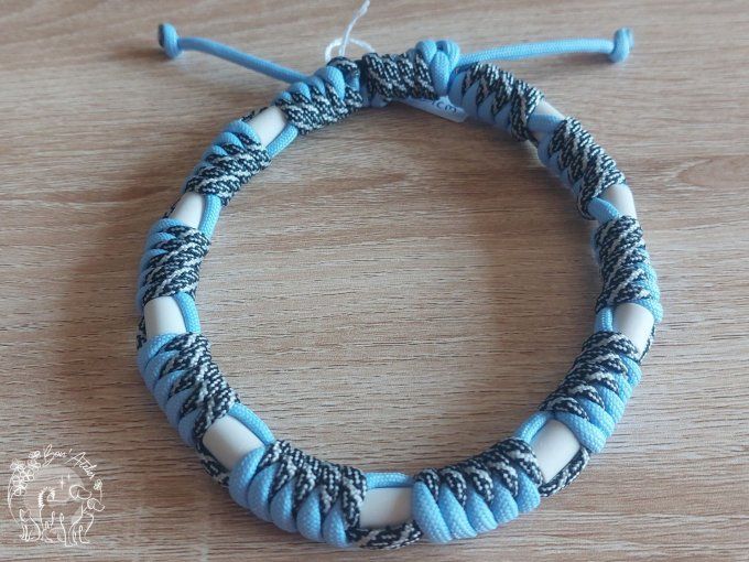 CHIENS _ COLLIER ANTI TIQUE & PUCE _ A adopter