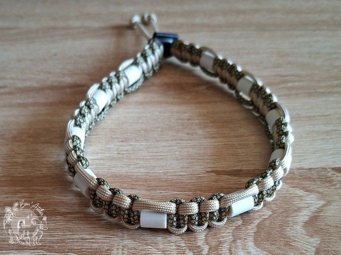 CHIENS _ COLLIER ANTI TIQUE & PUCE _ A adopter