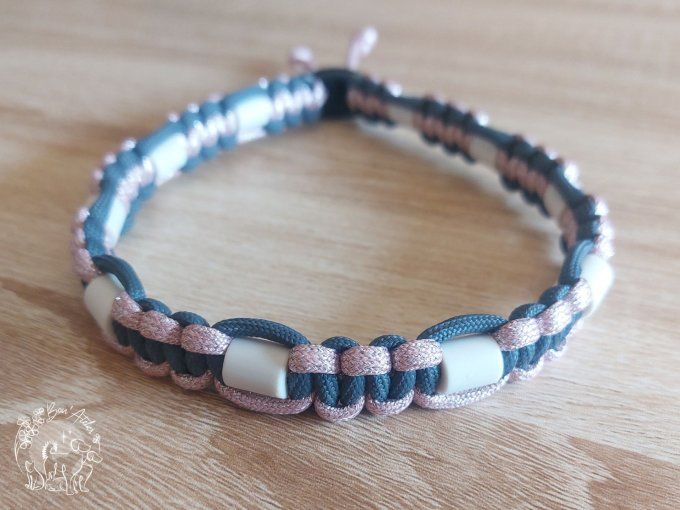 CHIENS _ COLLIER ANTI TIQUE & PUCE _ A adopter