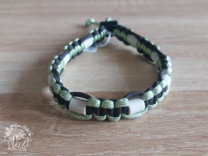 CHIENS _ COLLIER ANTI TIQUE & PUCE _ A adopter