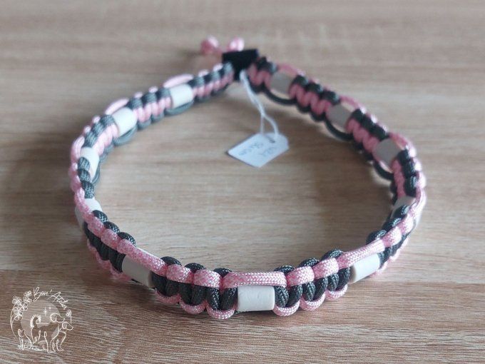 CHIENS _ COLLIER ANTI TIQUE & PUCE _ A adopter