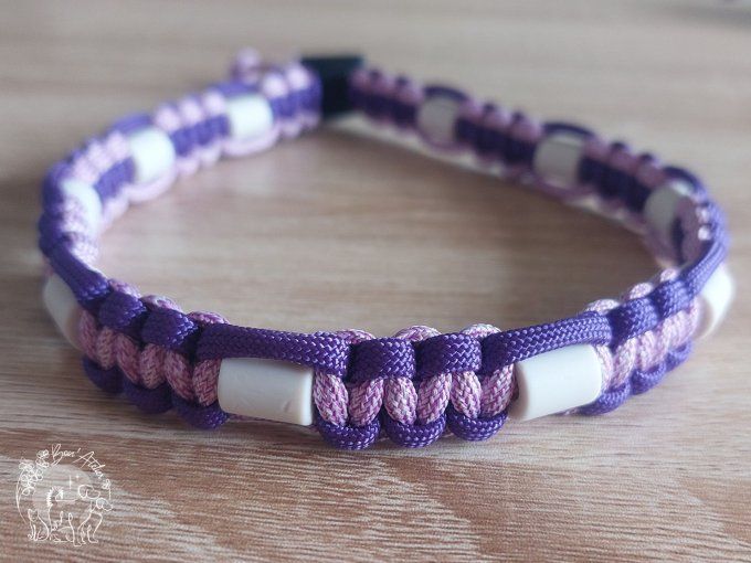 CHIENS _ COLLIER ANTI TIQUE & PUCE _ A adopter