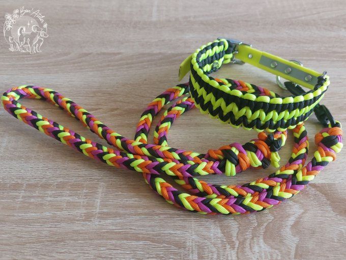COLLIER REGLABLE "ISNA" - A adopter