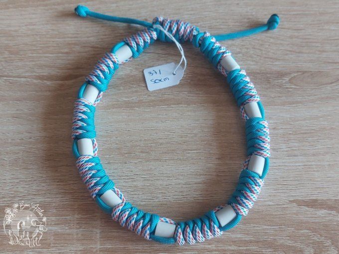 CHIENS _ COLLIER ANTI TIQUE & PUCE _ A adopter