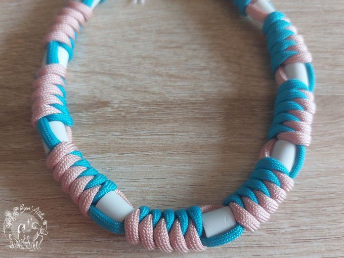 CHIENS _ COLLIER ANTI TIQUE & PUCE _ A adopter