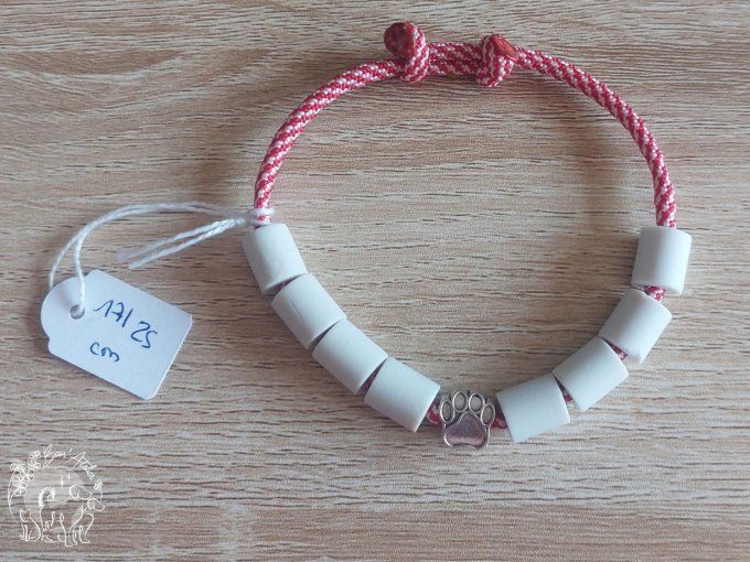 CHIENS _ COLLIER ANTI TIQUE & PUCE _ A adopter