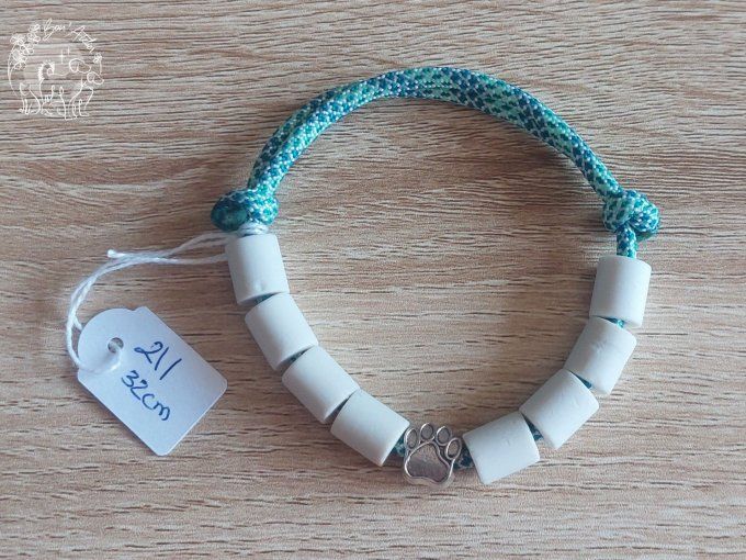 CHIENS _ COLLIER ANTI TIQUE & PUCE _ A adopter