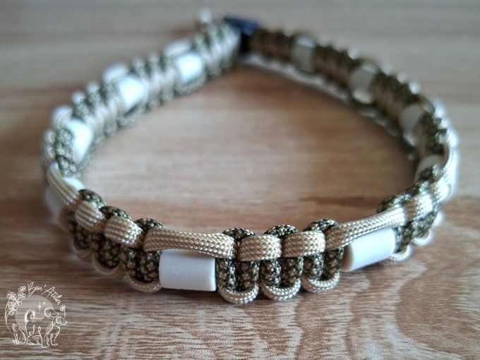 CHIENS _ COLLIER ANTI TIQUE & PUCE _ A adopter