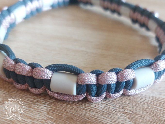 CHIENS _ COLLIER ANTI TIQUE & PUCE _ A adopter