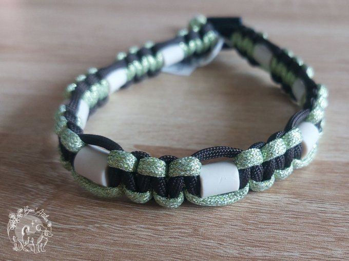 CHIENS _ COLLIER ANTI TIQUE & PUCE _ A adopter