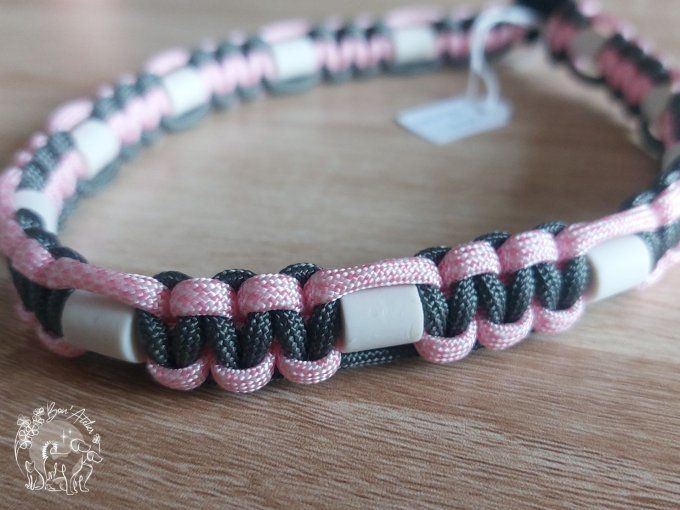 CHIENS _ COLLIER ANTI TIQUE & PUCE _ A adopter