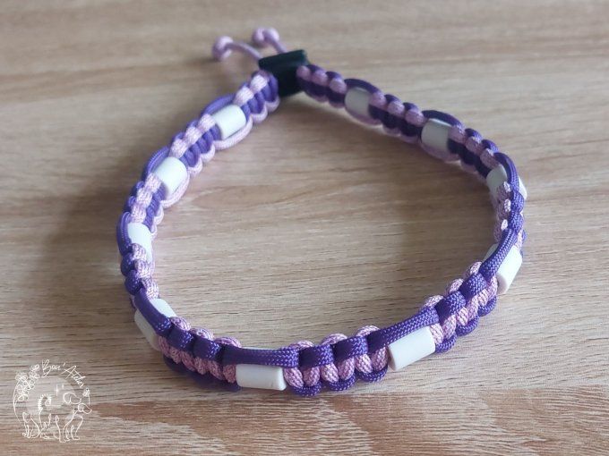 CHIENS _ COLLIER ANTI TIQUE & PUCE _ A adopter