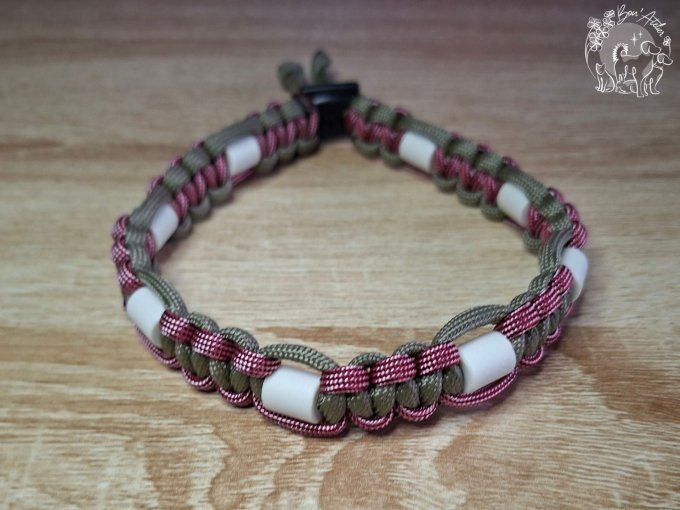 CHIENS _ COLLIER ANTI TIQUE & PUCE _ A adopter