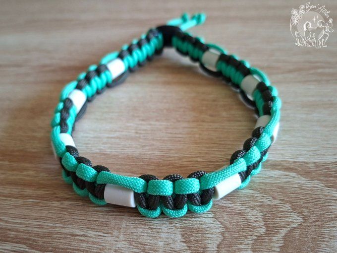 CHIENS _ COLLIER ANTI TIQUE & PUCE _ A adopter