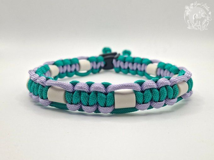 CHIENS _ COLLIER ANTI TIQUE & PUCE _ A adopter