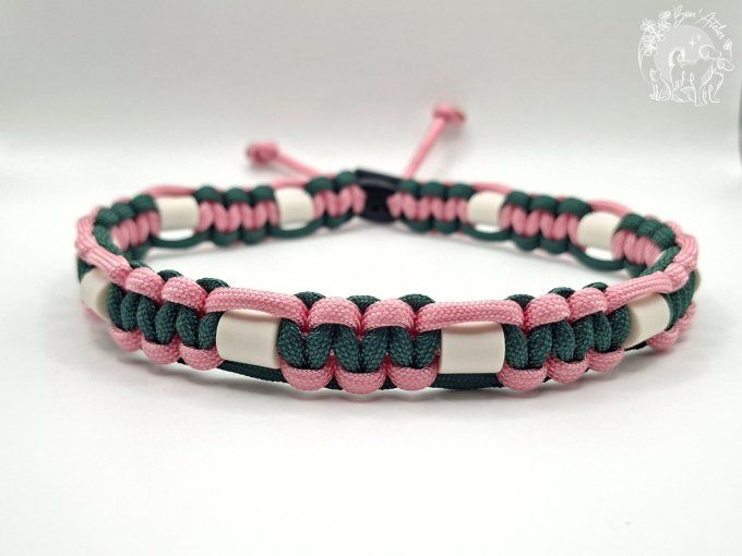 CHIENS _ COLLIER ANTI TIQUE & PUCE _ A adopter