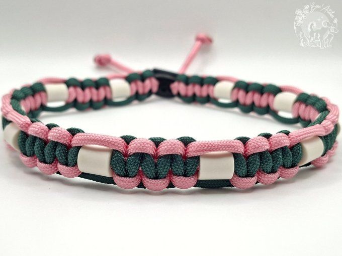 CHIENS _ COLLIER ANTI TIQUE & PUCE _ A adopter