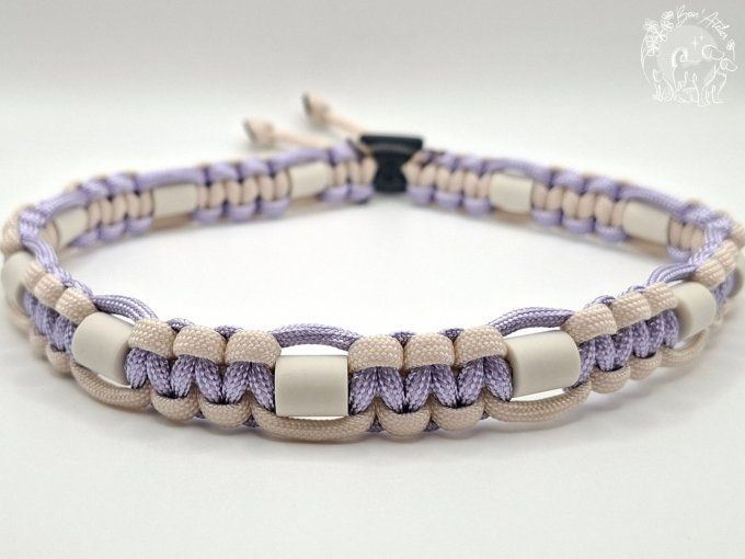 CHIENS _ COLLIER ANTI TIQUE & PUCE _ A adopter