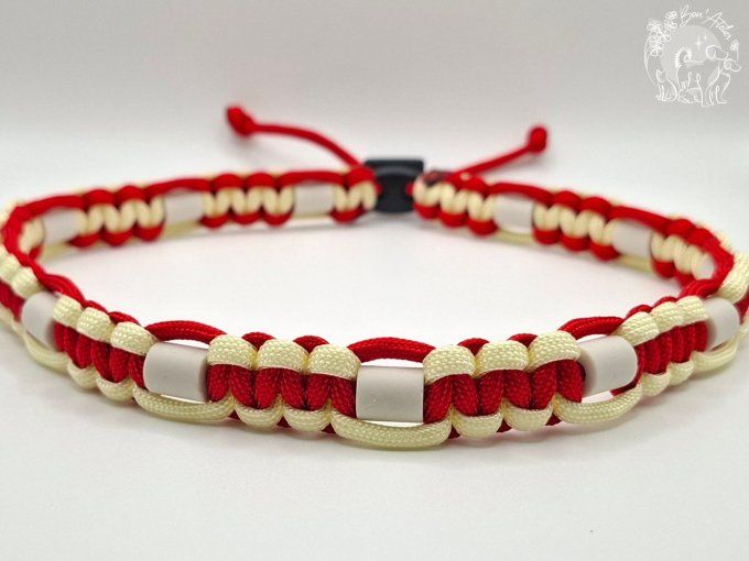 CHIENS _ COLLIER ANTI TIQUE & PUCE _ A adopter