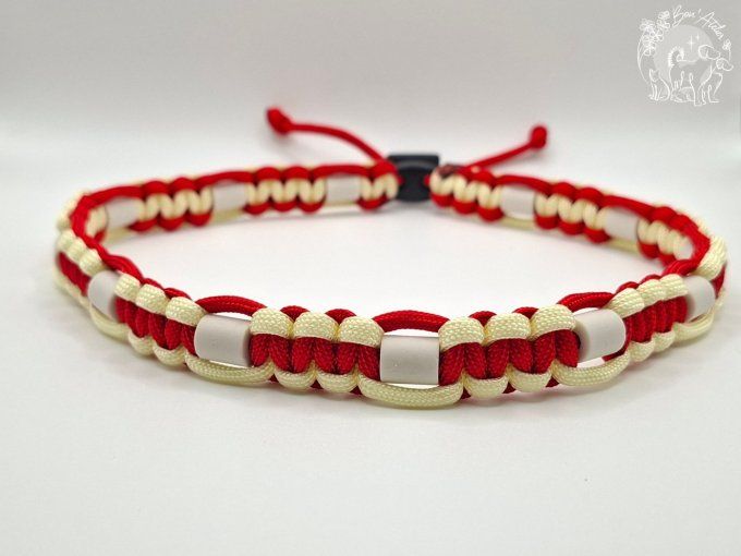 CHIENS _ COLLIER ANTI TIQUE & PUCE _ A adopter