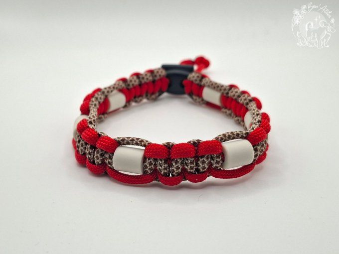 CHIENS _ COLLIER ANTI TIQUE & PUCE _ A adopter