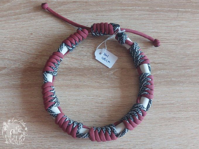 CHIENS _ COLLIER ANTI TIQUE & PUCE _ A adopter