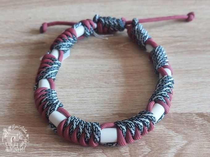 CHIENS _ COLLIER ANTI TIQUE & PUCE _ A adopter