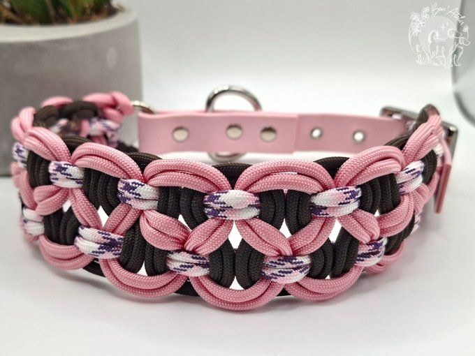 COLLIER REGLABLE "BANDIT" - A adopter 