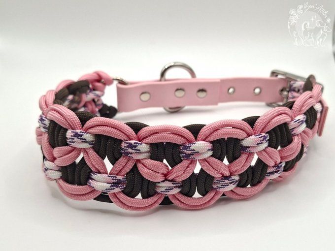 COLLIER REGLABLE "BANDIT" - A adopter 