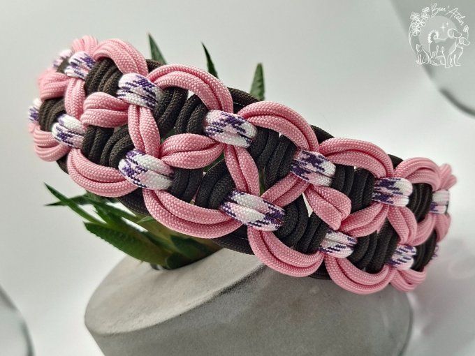 COLLIER REGLABLE "BANDIT" - A adopter 