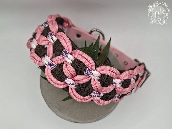 COLLIER REGLABLE "BANDIT" - A adopter 