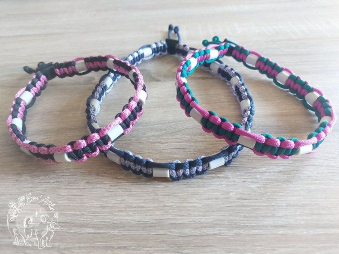 PACK ANTI PARASITAIRE CHIEN ou CHAT