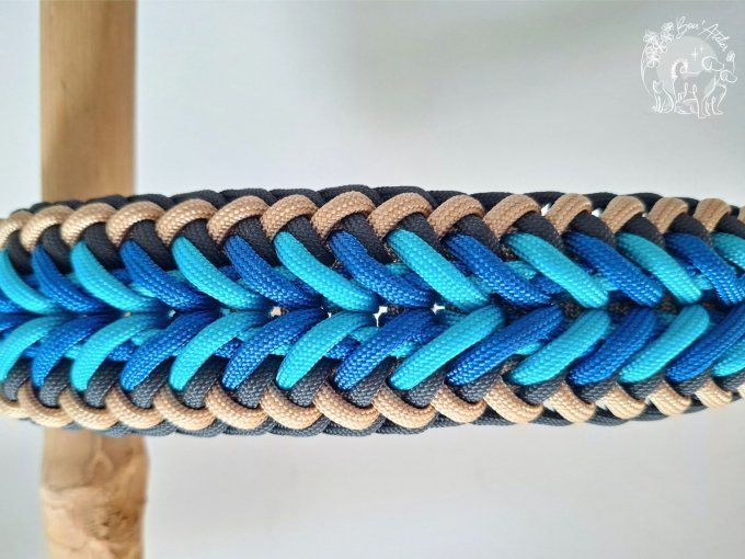 COLLIER REGLABLE "FALCO" - A adopter