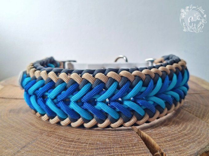 COLLIER REGLABLE "FALCO" - A adopter