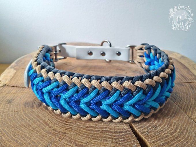 COLLIER REGLABLE "FALCO" - A adopter