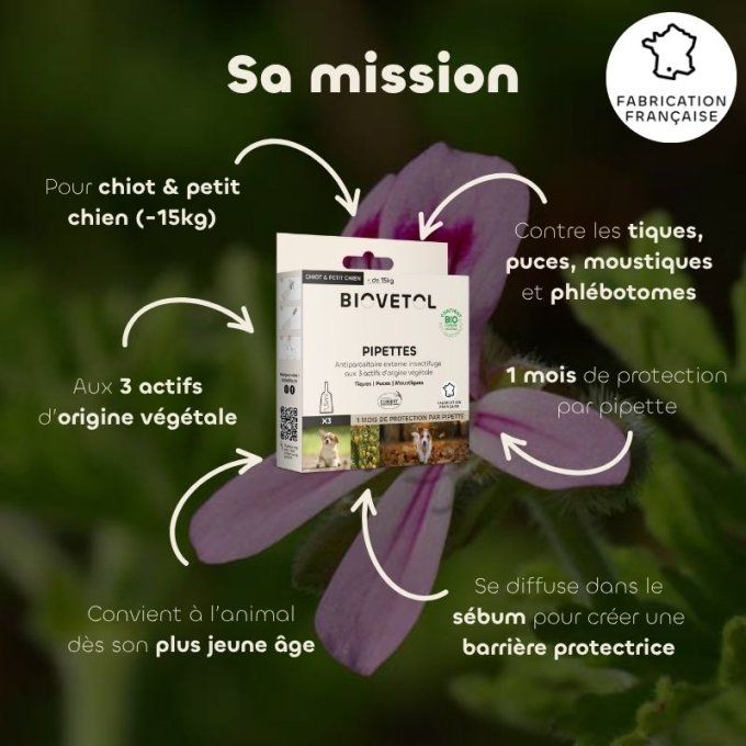 PIPETTES ANTI PARASITAIRE - CHIOTS & PETITS CHIENS