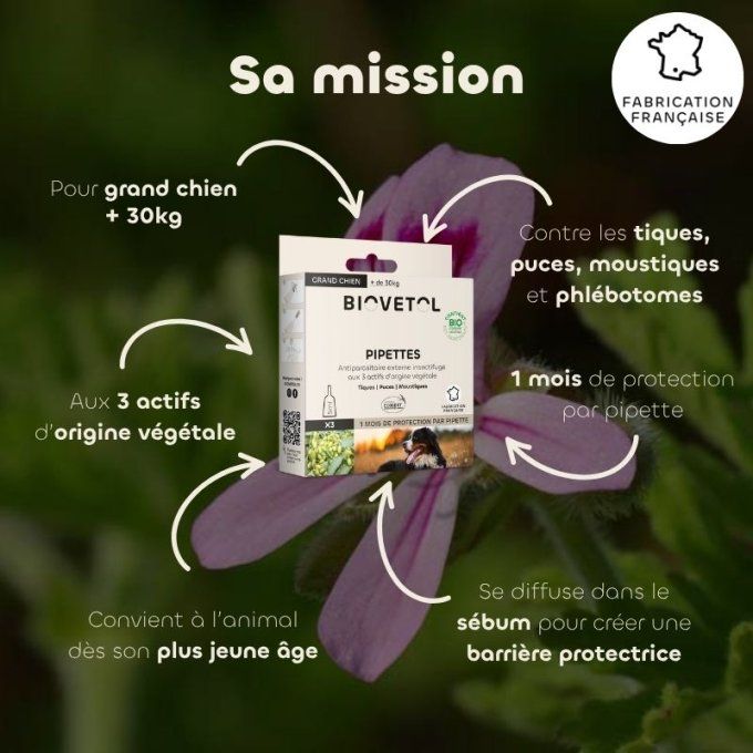 PIPETTES ANTI PARASITAIRE - GRANDS CHIENS