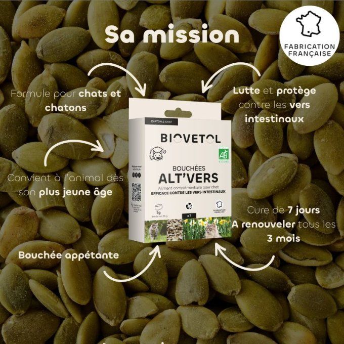 ALT'VERS - CHATS