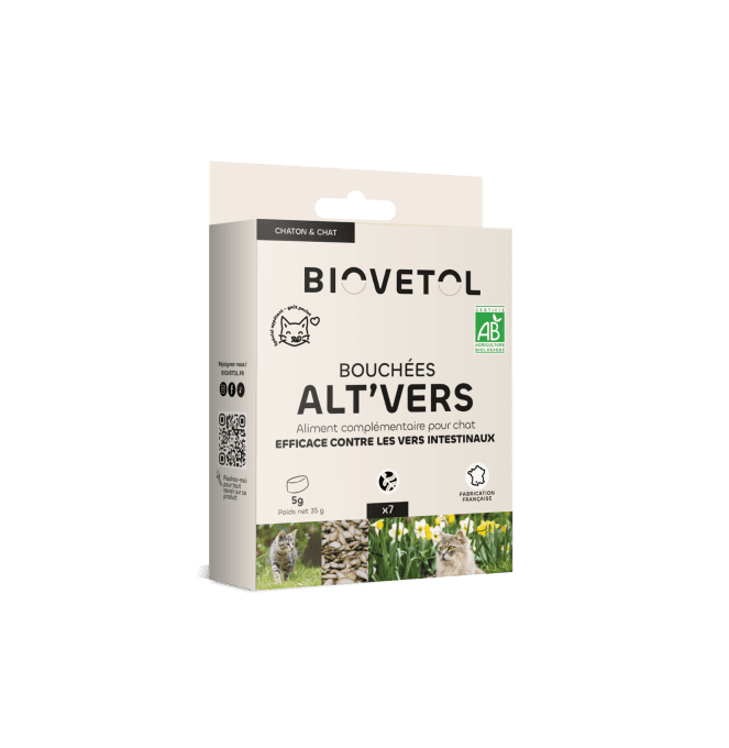 ALT'VERS - CHATS