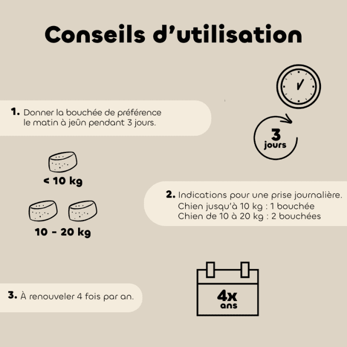 ALT'VERS - PETITS CHIENS