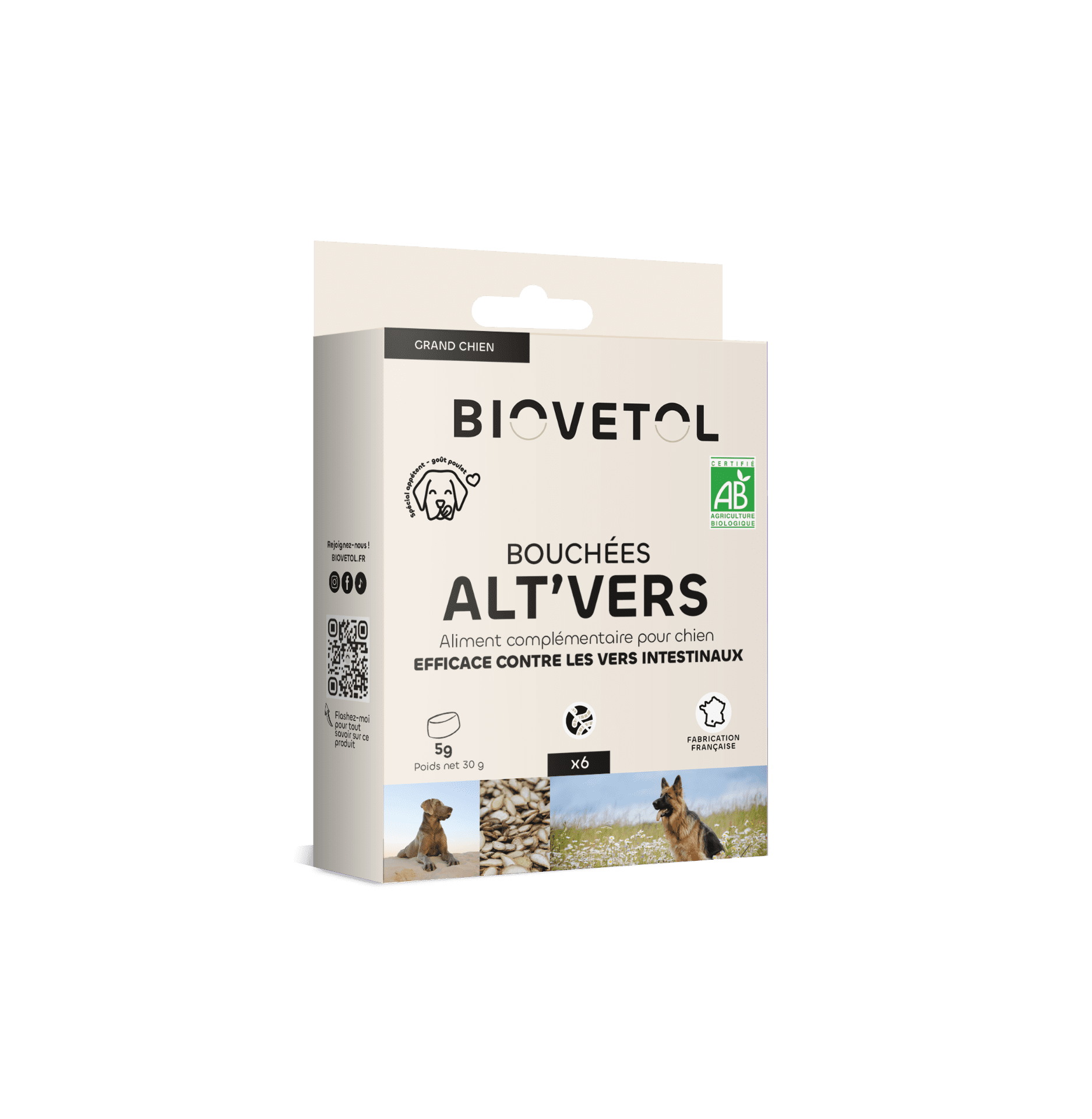 ALT'VERS - GRANDS CHIENS 