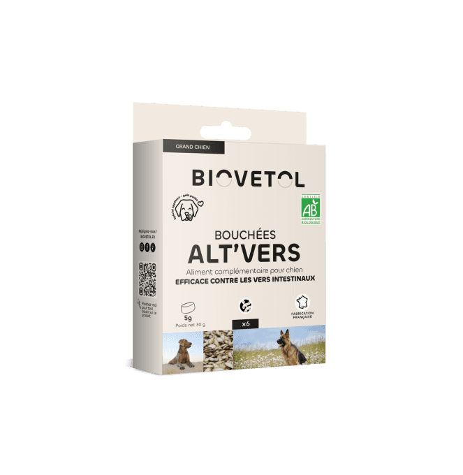 ALT'VERS - GRANDS CHIENS 