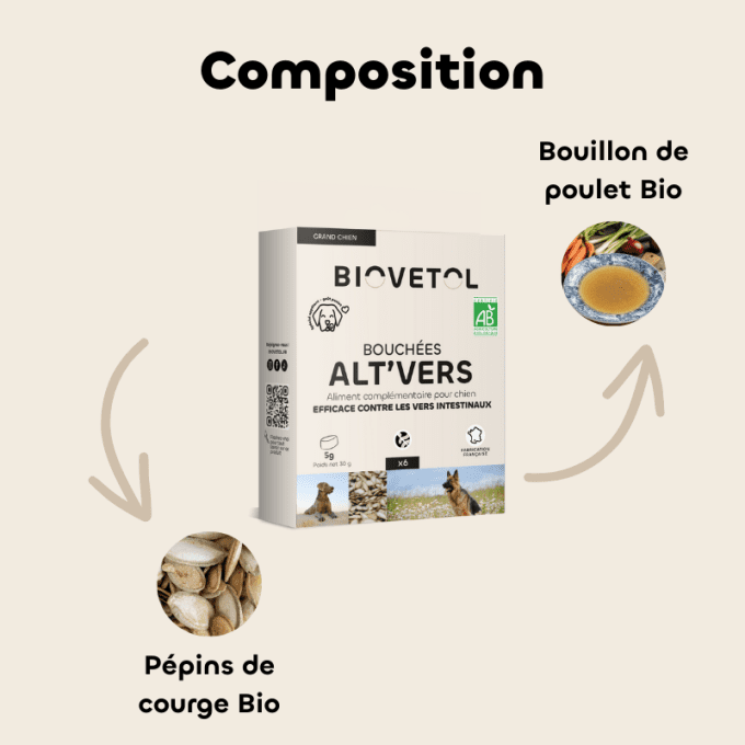 ALT'VERS - GRANDS CHIENS 