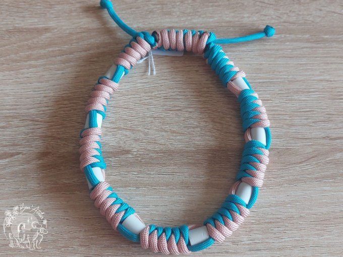CHIENS _ COLLIER ANTI TIQUE & PUCE _ A adopter