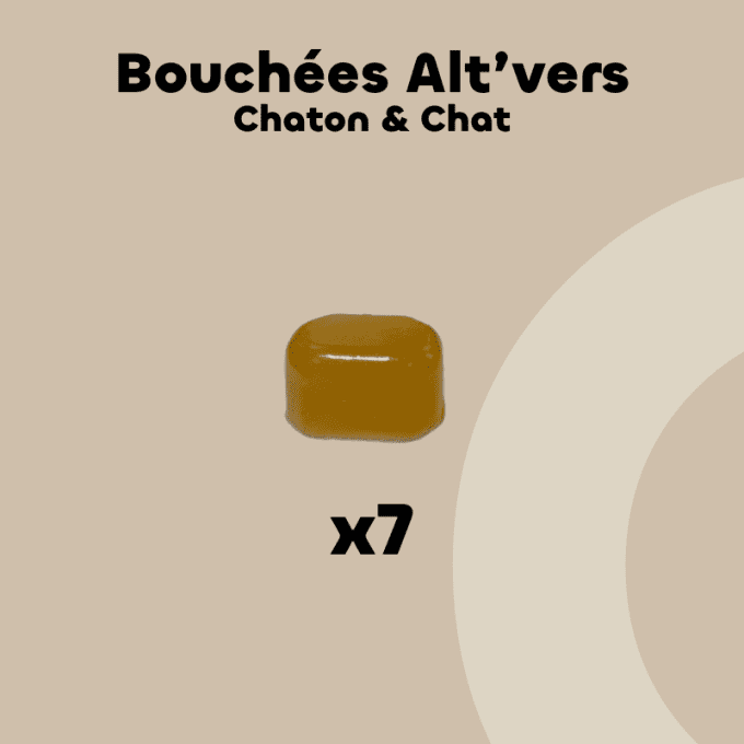 ALT'VERS - CHATS